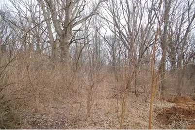 35W247 Fox River Drive, Saint Charles, IL 60174 - Photo 3