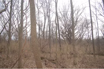 35W247 Fox River Drive, Saint Charles, IL 60174 - Photo 9