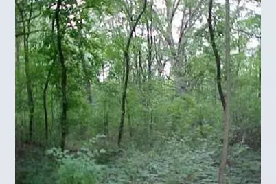 35W247 Fox River Drive, Saint Charles, IL 60174 - Photo 1