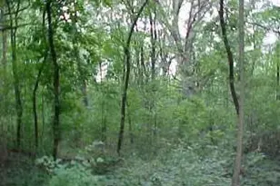 35W247 Fox River Dr, Saint Charles, IL 60174 - Photo 1