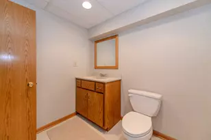 18816 S Chestnut Dr, Shorewood, IL 60404 - Photo 53