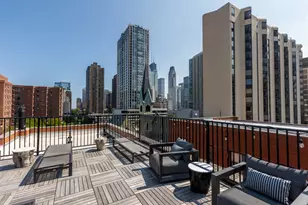 1140 N La Salle Dr, Chicago, IL 60610 - Photo 11