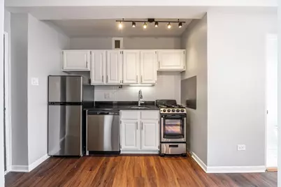 1140 N La Salle Drive #203, Chicago, IL 60610 - Photo 5