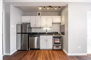 1140 N La Salle Dr, Chicago, IL 60610 - Photo 5