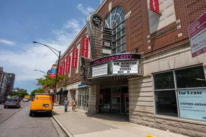 1140 N La Salle Drive #203, Chicago, IL 60610 - Photo 37