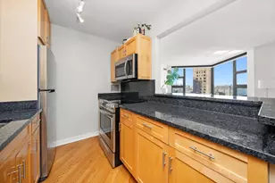 401 E Ontario St, Chicago, IL 60611 - Photo 11