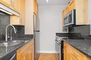 401 E Ontario St, Chicago, IL 60611 - Photo 13