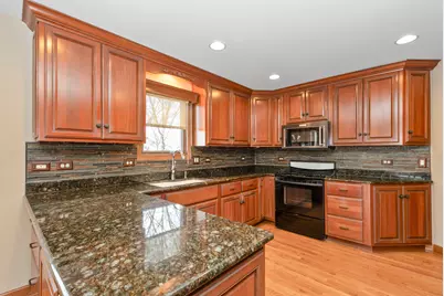 16138 Hackney Drive, Orland Park, IL 60467 - Photo 9