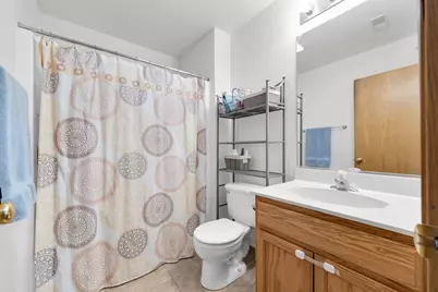 1149 Baccarrat Court, Joliet, IL 60431 - Photo 15