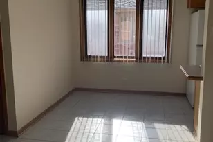 10541 Parkside Ave, Chicago Ridge, IL 60415 - Photo 5