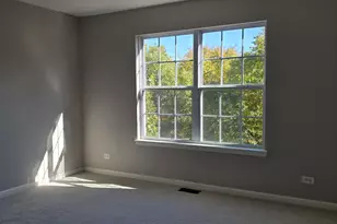 4313 Timber Ridge Ct, Joliet, IL 60431 - Photo 19