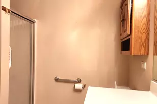 18440 Pine Lake Dr, Tinley Park, IL 60477 - Photo 15