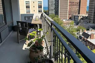 1430 N Astor St, Chicago, IL 60610 - Photo 29