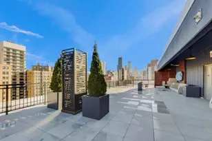 1430 N Astor St, Chicago, IL 60610 - Photo 43