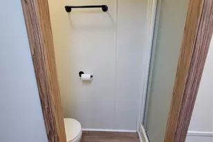 3 Shady-Nook Dr, Elwood, IL 60421 - Photo 11