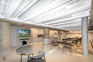 200 E Delaware Pl, Chicago, IL 60611 - Photo 23