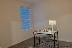 5933 Hawkweed Dr, Naperville, IL 60564 - Photo 19