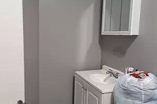 450 W 46th Pl, Chicago, IL 60609 - Photo 7