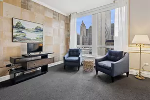 55 E Erie Ave, Chicago, IL 60611 - Photo 19