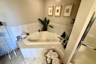 [Address not provided], Tinley Park, IL 60477 - Photo 21