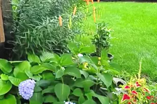 6S151 Old Eola Rd, Eola, IL 60519 - Photo 11