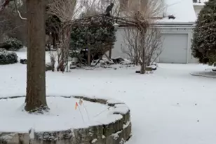 6S151 Old Eola Rd, Eola, IL 60519 - Photo 55