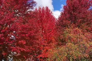 43W701 Willow Creek Dr, Elburn, IL 60119 - Photo 55