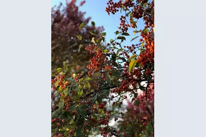 43W701 Willow Creek Drive, Elburn, IL 60119 - Photo 45