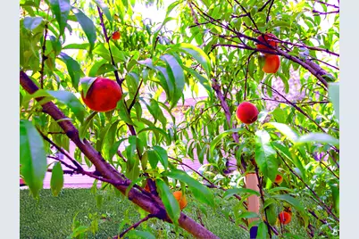 100 Walden Pond Boulevard, Monticello, IL 61856 - Photo 75