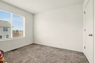 562 Spring Leaf Dr, Joliet, IL 60431 - Photo 23