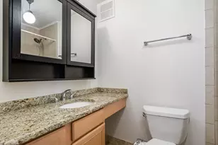 100 E Walton St, Chicago, IL 60611 - Photo 15