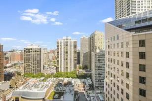 100 E Walton St, Chicago, IL 60611 - Photo 19