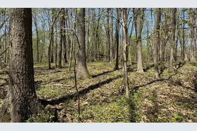 2220 Anne Lane, Crete, IL 60417 - Photo 11