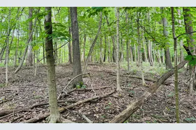 2220 Anne Lane, Crete, IL 60417 - Photo 13