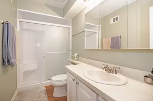 107 65th Lake Dr, Westmont, IL 60559 - Photo 21