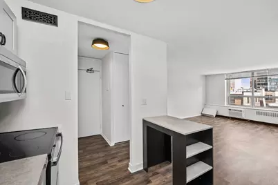 70 W Burton Place #704F, Chicago, IL 60610 - Photo 3