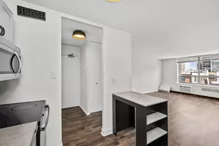 70 W Burton Pl, Chicago, IL 60610 - Photo 3