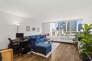70 W Burton Pl, Chicago, IL 60610 - Photo 9