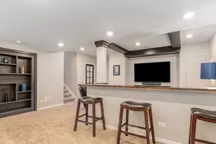 719 Eagle Brook Ln, Naperville, IL 60565 - Photo 23