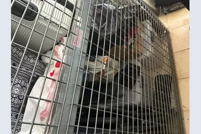 6701 S Crandon Avenue #9B, Chicago, IL 60649 - Photo 17