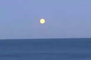 5901 N Sheridan Rd, Chicago, IL 60660 - Photo 15