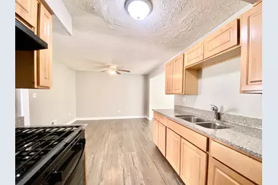 903 Blackhawk Drive, University Park, IL 60484 - Photo 7