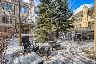 1562 S Paul Le Comte Ct, Palatine, IL 60067 - Photo 37