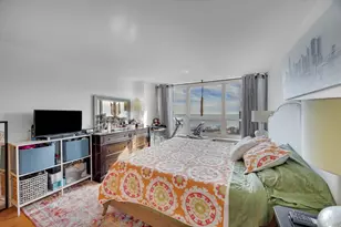 4800 S Chicago Beach Dr, Chicago, IL 60615 - Photo 9