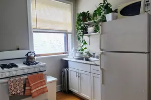 1919 W Berteau Ave, Chicago, IL 60613 - Photo 9