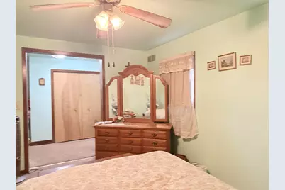 131 W Erie Street, Spring Valley, IL 61362 - Photo 13