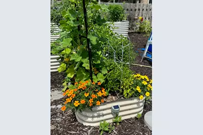 9604 S Hamilton Avenue, Chicago, IL 60643 - Photo 35