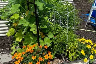 9604 S Hamilton Ave, Chicago, IL 60643 - Photo 35