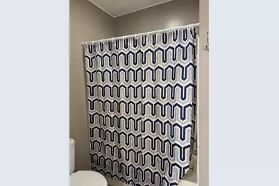 104 W Lincoln Street, Flanagan, IL 61740 - Photo 11