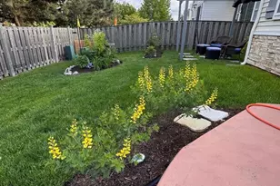 15743 Cove Cir, Plainfield, IL 60544 - Photo 41